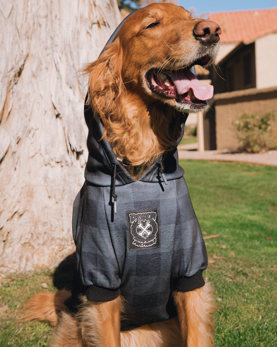 Flannel dog jacket hotsell