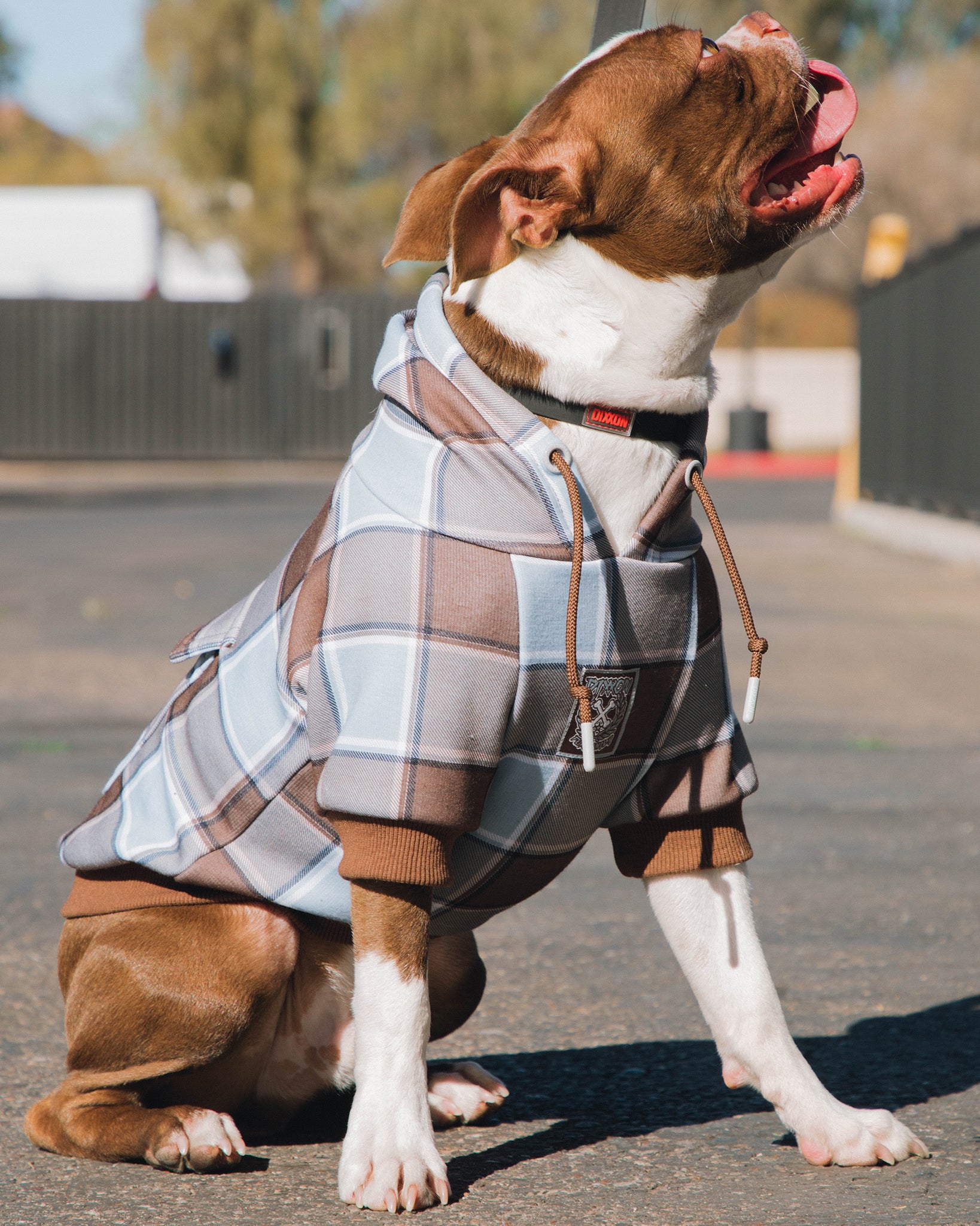 Dixxon Pet Gear High Quality Essentials Dixxon Flannel Co