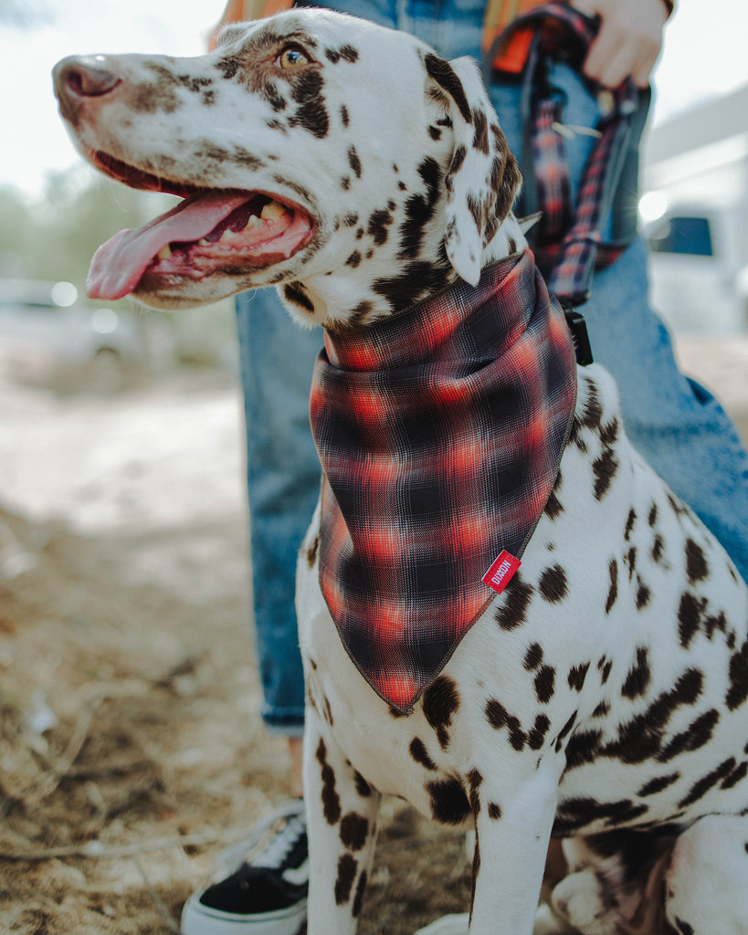 Dog Bandana - Ash - Dixxon Flannel Co.