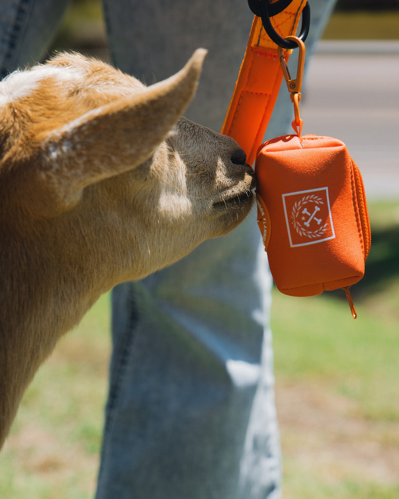 Dog Poop Bag Holder - Floro Orange - Dixxon Flannel Co.