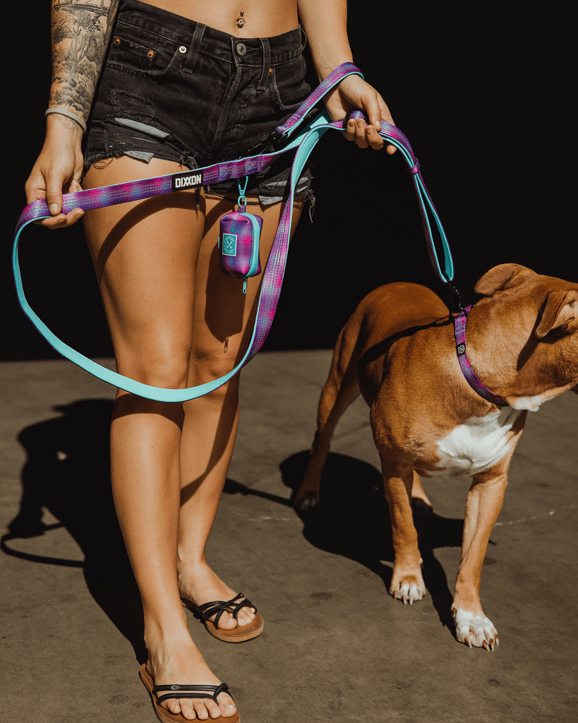 Polyester Dog Leash - Aqua & Pink - Dixxon Flannel Co.