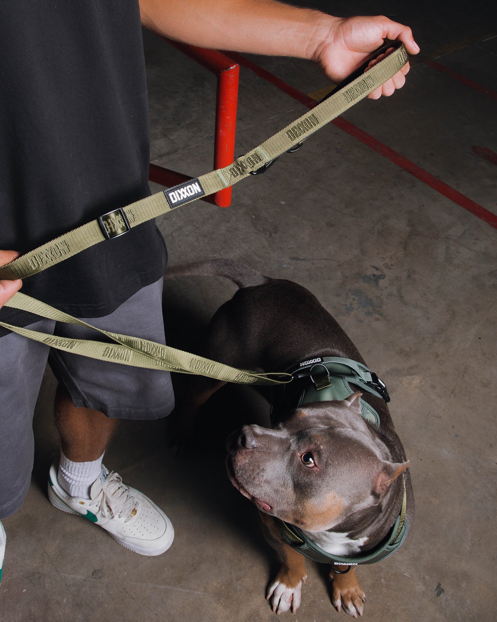 Best leash best sale for a pitbull